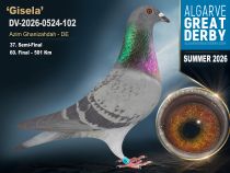 DV-2026-0524-102
