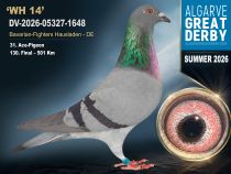 DV-2026-05327-1648