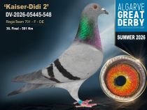 DV-2026-05445-548