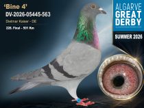 DV-2026-05445-563