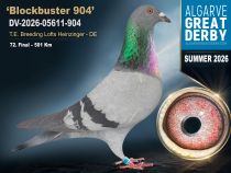 DV-2026-05611-904