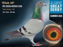 DV-2026-06565-246