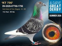 DV-2026-07768-1796