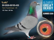 DV-2026-08195-430