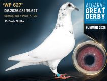DV-2026-08199-627