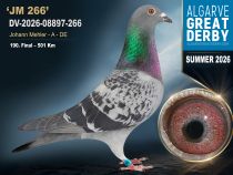 DV-2026-08897-266