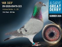 DV-2026-09478-323