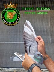 ESP-25-545032