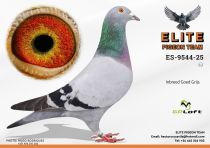 ESP-25-9544