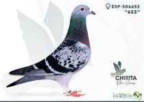 ESP-304653