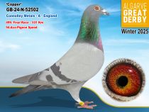 GB-24-N-52502