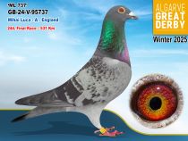 GB-24-V-95737