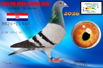 HR26-11448