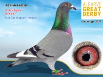 IE-23-IHU-S-043596