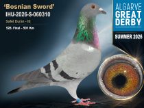 IHU-2026-S-060310