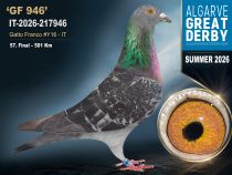 IT-2026-217946