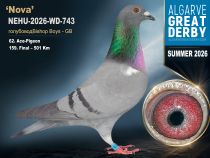 NEHU-2026-WD-743