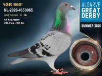 NL-2026-4650965