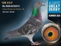 NL-2026-8332513