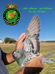 NL-25-1027907