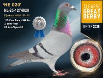 NL-25-1274020