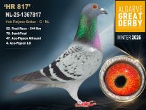 NL-25-1367817