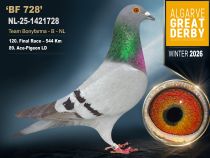 NL-25-1421728