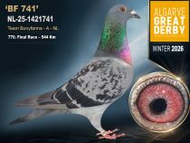 NL-25-1421741