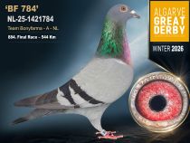 NL-25-1421784