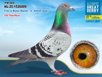 NL-25-1526009