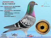 NL-26-1722618