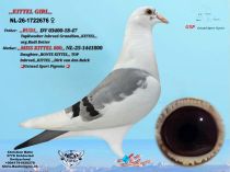 NL-26-1722676