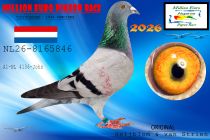 NL26-8165846