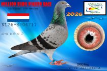 NL26-8404717