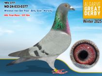 NO-24-033-0377