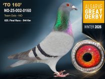 NO-25-002-0160