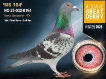 NO-25-032-0164