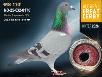 NO-25-032-0170