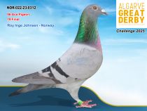 NOR-022-23-0312