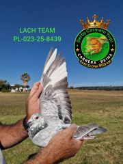 PL-023-25-8439