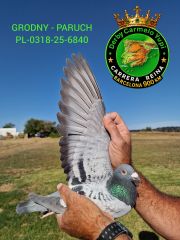 PL-0318-25-6840