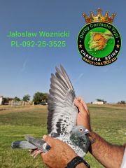 PL-092-25-3525