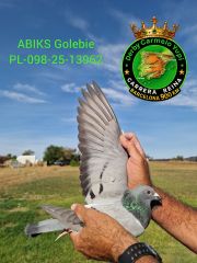 PL-098-25-13962