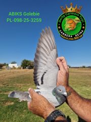 PL-098-25-3259
