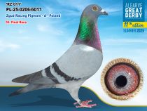 PL-25-0206-6011