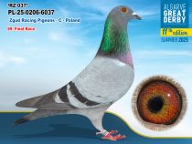 PL-25-0206-6037