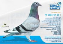 PT-5332727-25