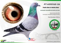PT-6095165-26