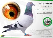 PT-6125221-26