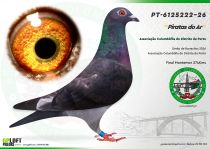 PT-6125222-26